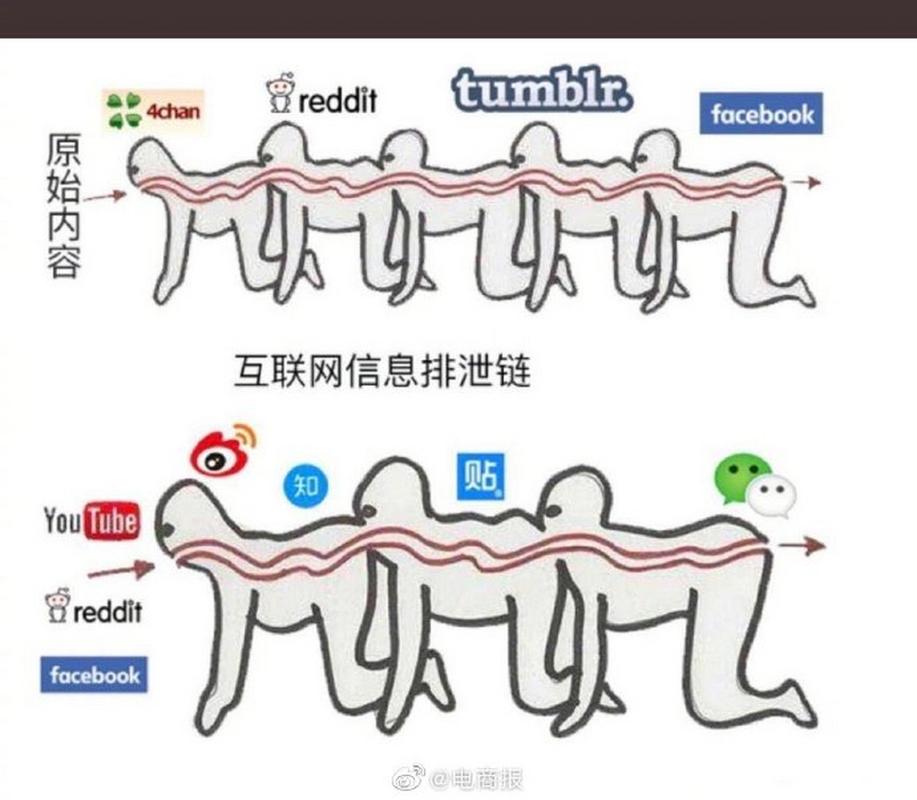 从信息自由流动到信息迷雾 互联网信息排泄链的隐忧与反思